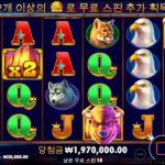 카지노사이트