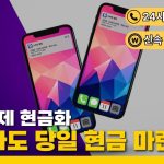소액결제 정책