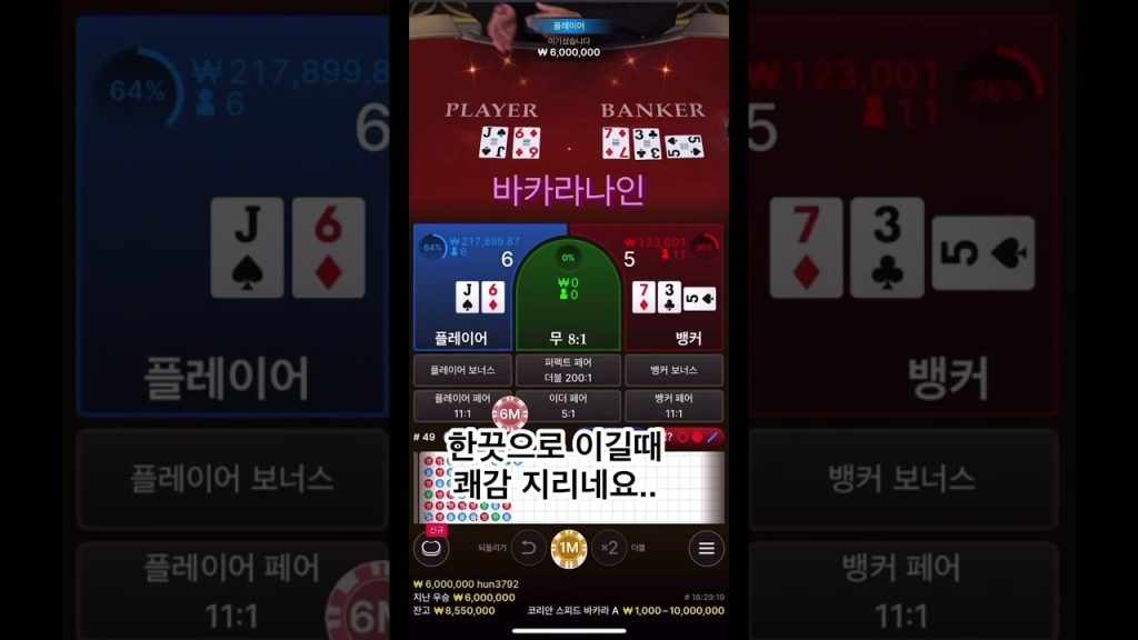 코리안딜러 바카라