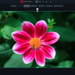 Mastering the Art of the Square Image