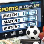 신뢰할 수 있는 카지노와 스포츠 베팅 플랫폼 가이드